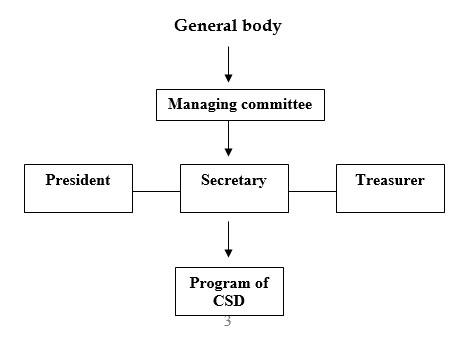 Organization-Structure